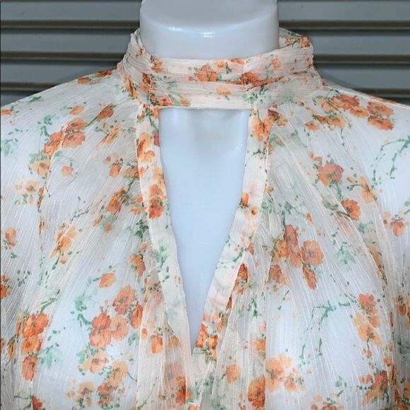Zara Basic Collection size medium sheer floral top - Picture 4 of 8